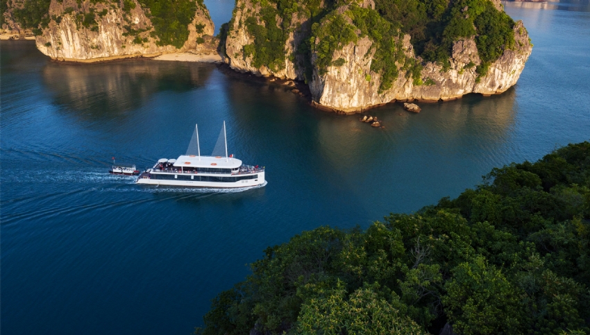 Jade Sails Cruise 