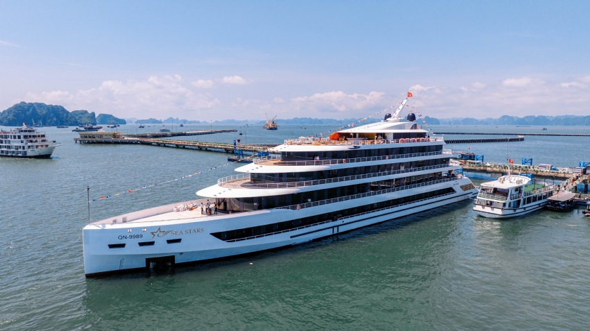 SEA STARS CRUISES